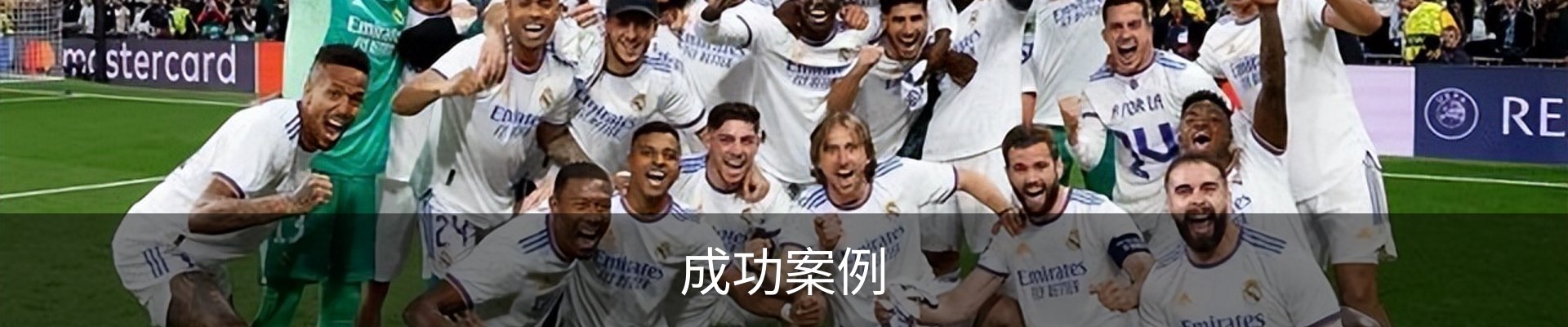 成功案例