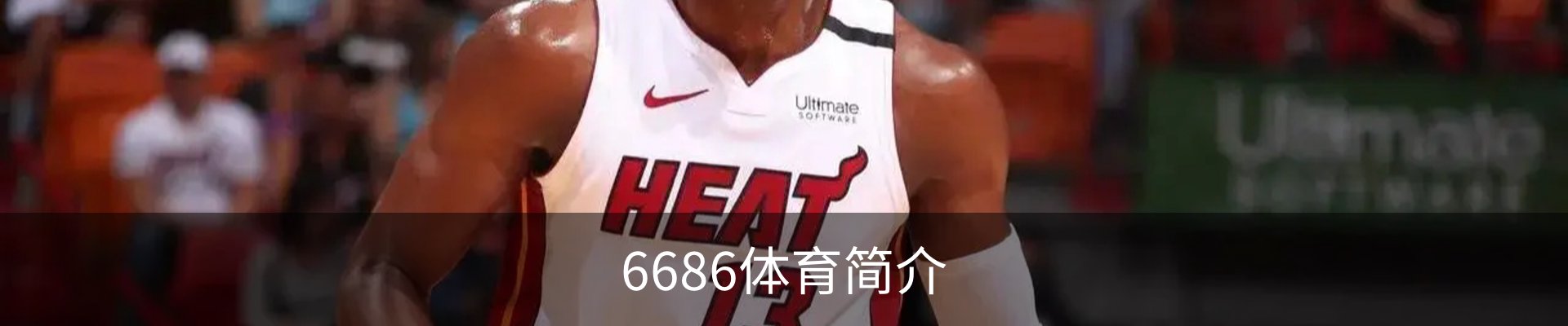 6686体育简介