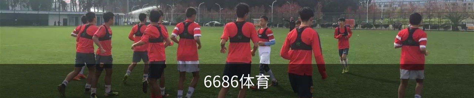 6686体育